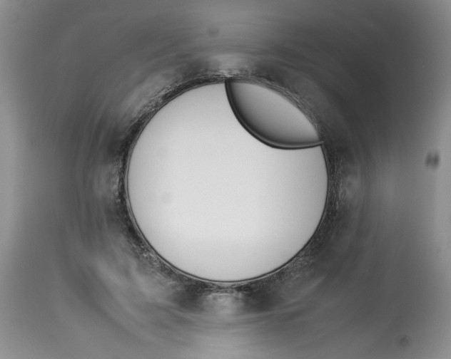 X0000114010595200910231817