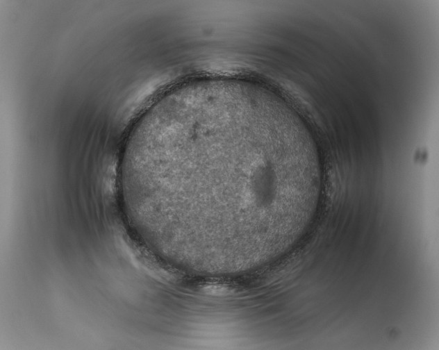 X0000114010596200910231817