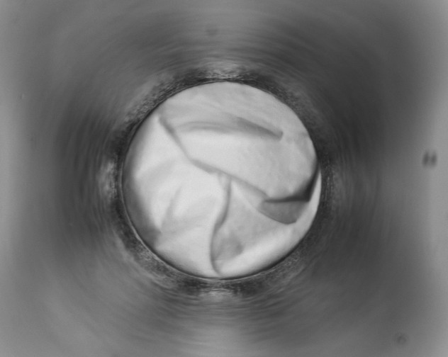 X0000114010598200910231817