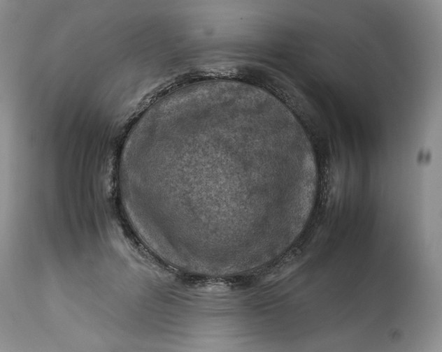 X0000114010600200910231817