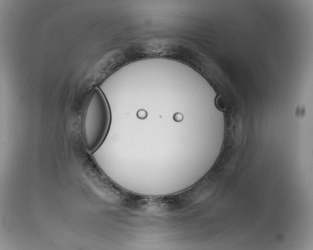 X0000114010601200910231817