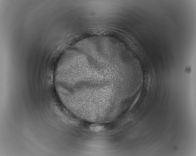 X0000114010602200910231817