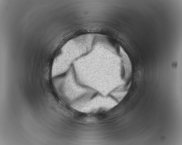 X0000114010604200910231817