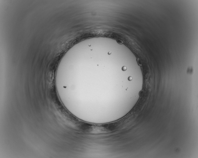 X0000114010605200910231817