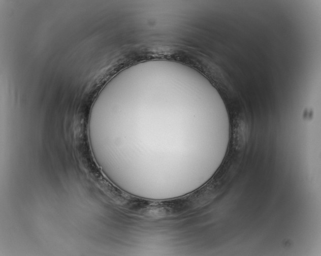 X0000114010608200910231817