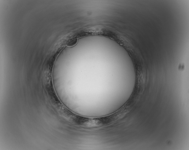 X0000114010609200910231817