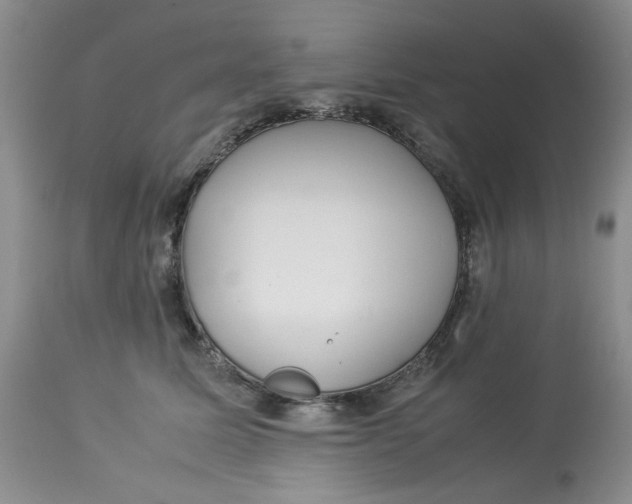 X0000114010611200910231817