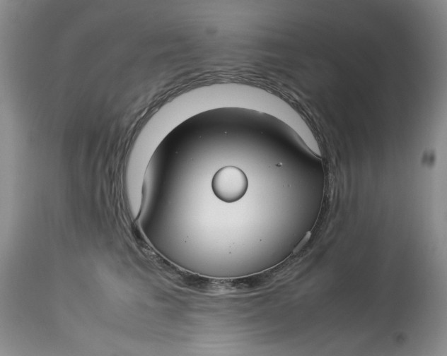 X0000114010613200910231816