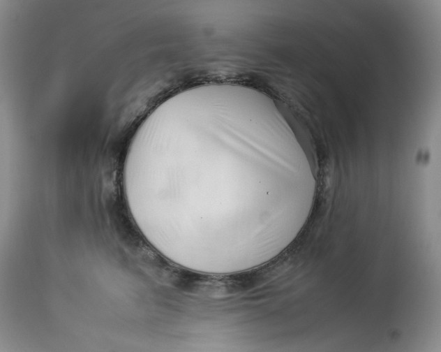 X0000114010615200910231816