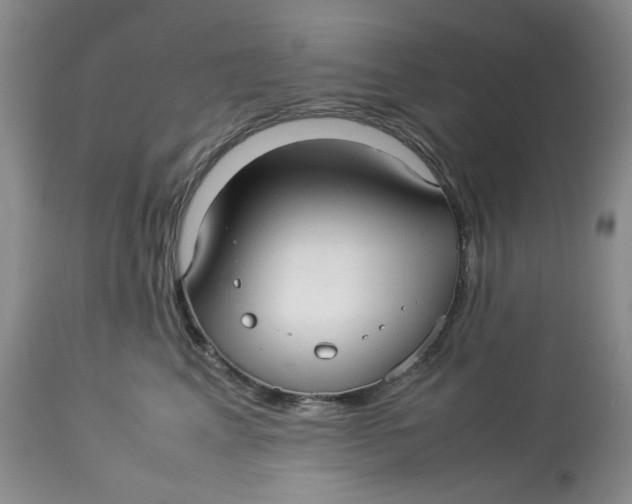 X0000114010617200910231816