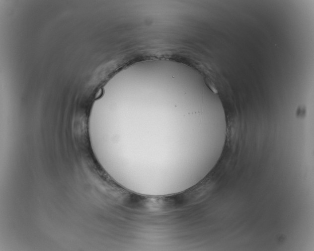 X0000114010623200910231816