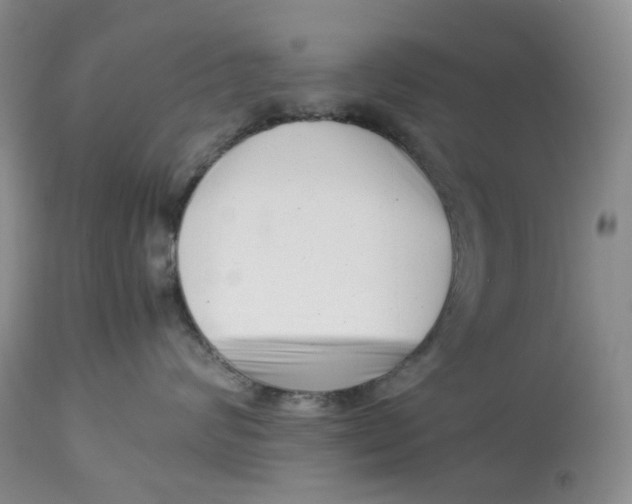 X0000114010624200910231816