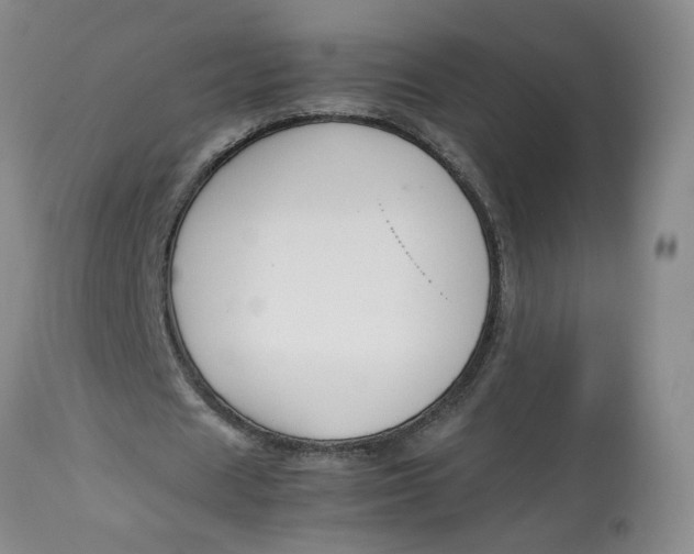 X0000114010625200910231816