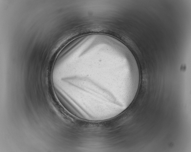 X0000114010626200910231816