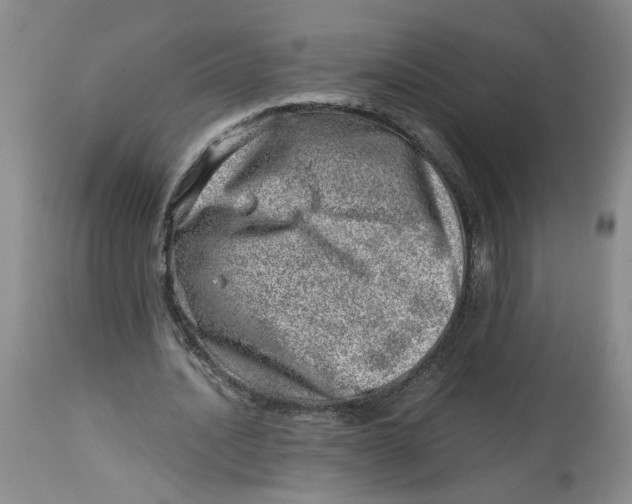 X0000114010628200910231816