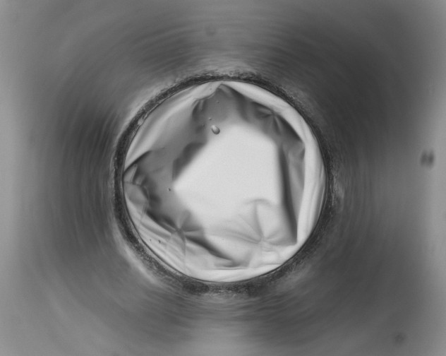 X0000114010630200910231816