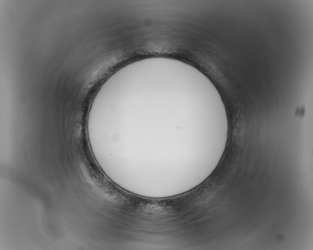 X0000114010635200910231816