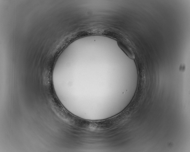 X0000114010641200910231816