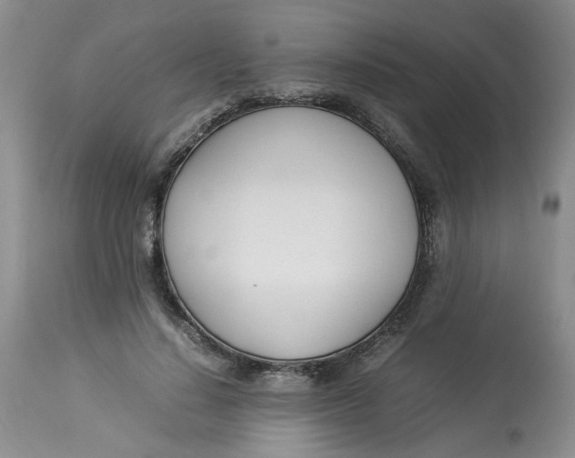 X0000114010644200910231816