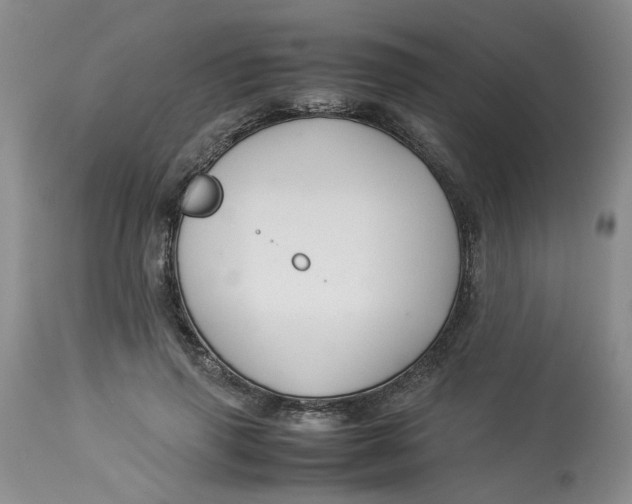 X0000114010645200910231816