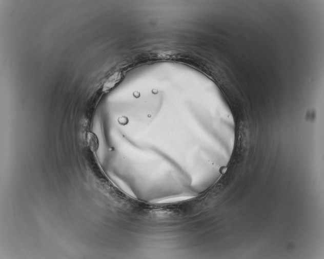 X0000114010650200910231816