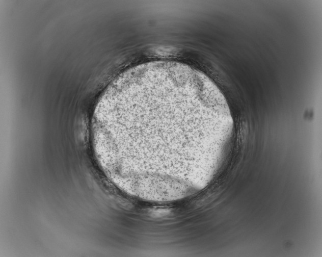 X0000114010651200910231816