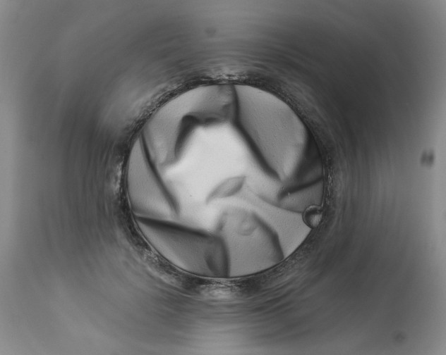 X0000114010652200910231816