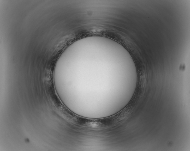 X0000114010654200910231816