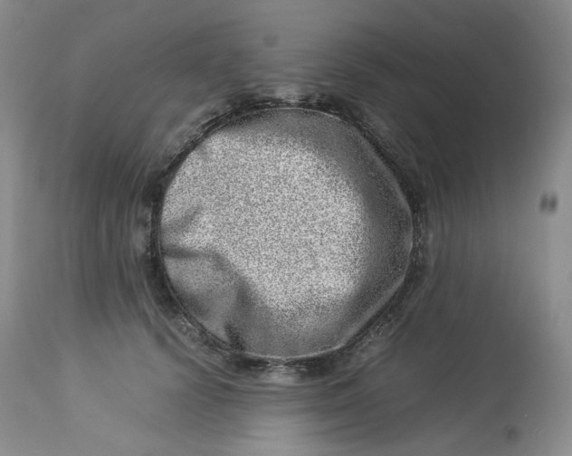 X0000114010656200910231816