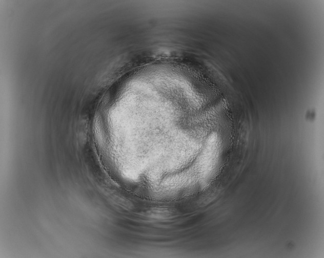 X0000114010659200910231816