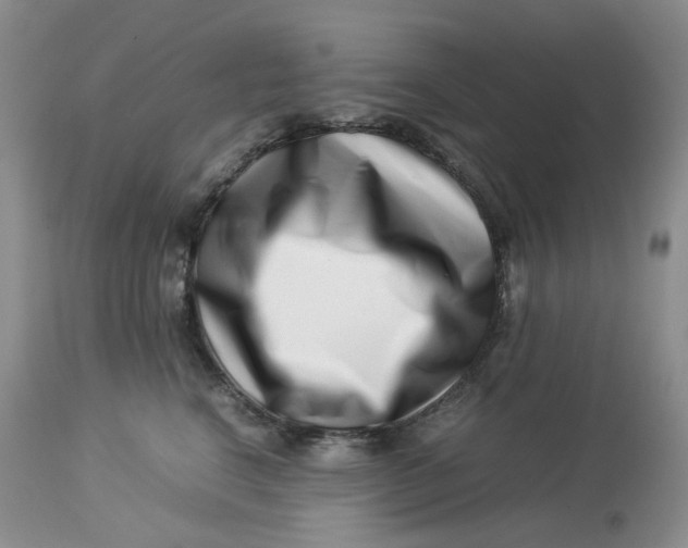 X0000114010664200910231816