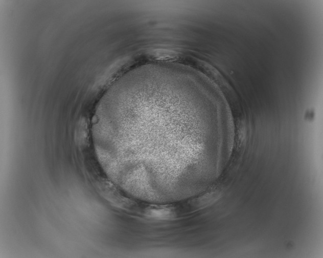 X0000114010667200910231816