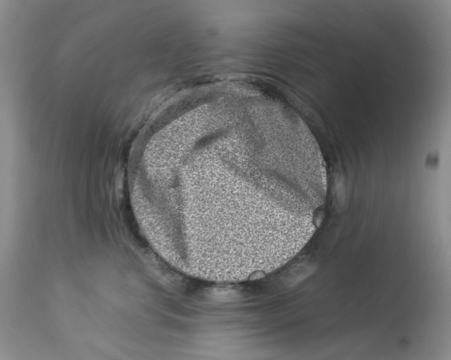 X0000114010668200910231816