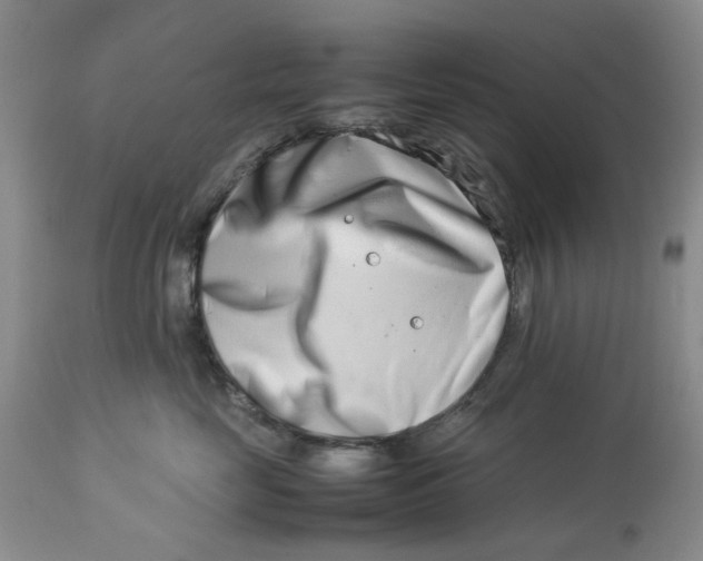 X0000114010669200910231816