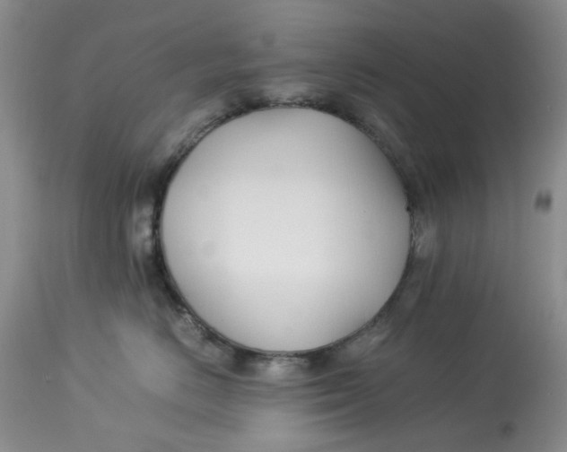 X0000114010670200910231816