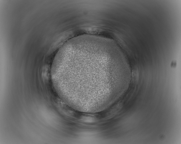 X0000114010671200910231816