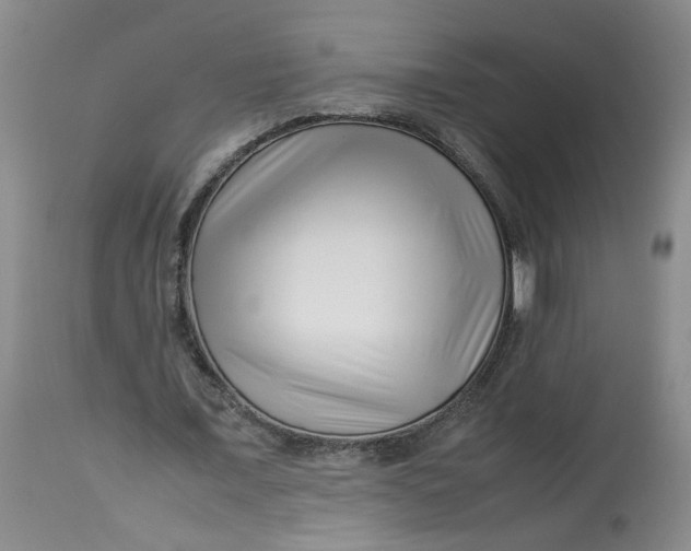 X0000114010675200910231815