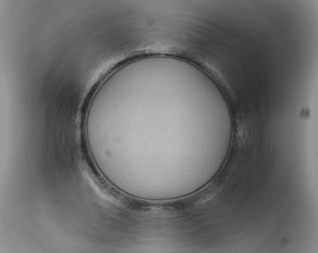 X0000114010678200910231815