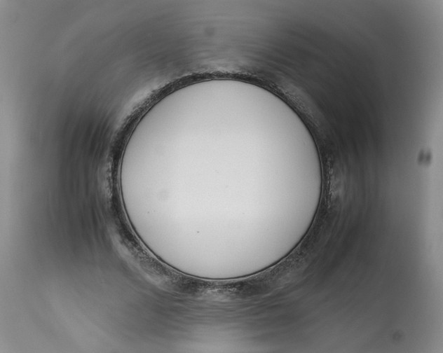 X0000114010680200910231815