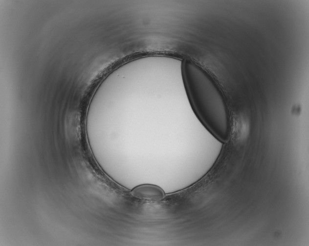 X0000114010684200910231815