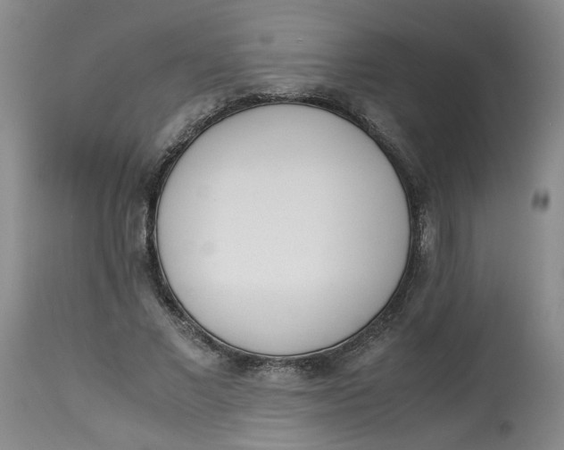 X0000114010685200910231815