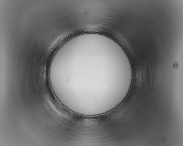 X0000114010686200910231815