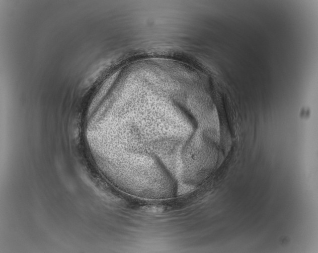 X0000114010687200910231815