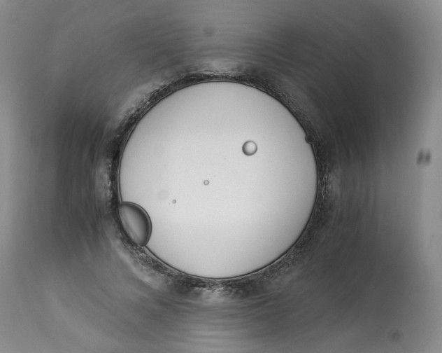 X0000114010688200910231815