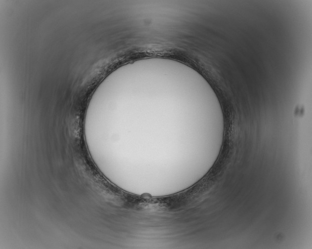 X0000114010689200910231815