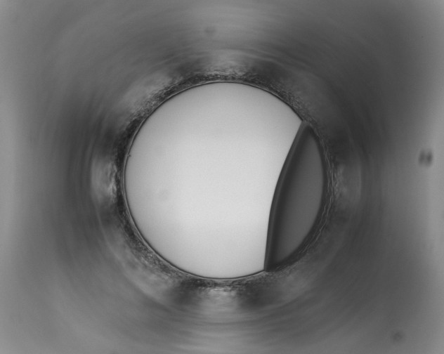 X0000114010692200910231815