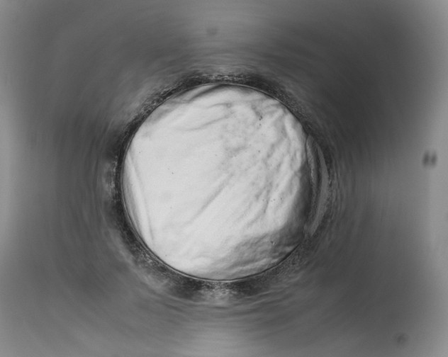 X0000114010695200910231815