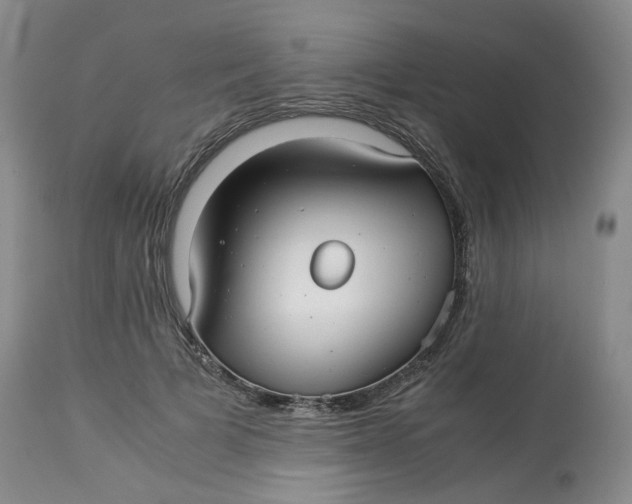 X0000114010697200910231815