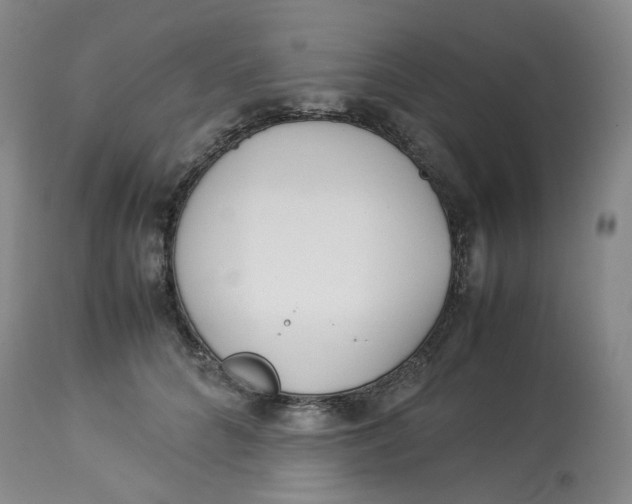 X0000114010704200910231815