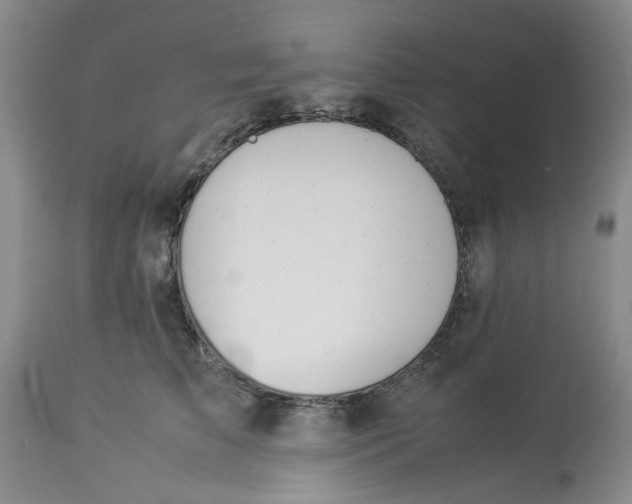 X0000114010709200910231815